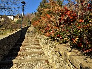 14 Sulla 'Salita dello Scorlazzino' esplosione di colori